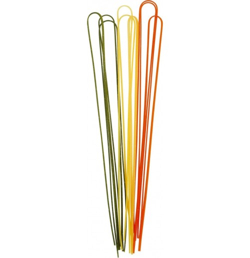 Tricolor Linguine Pasta (250gms, SproutsOG)